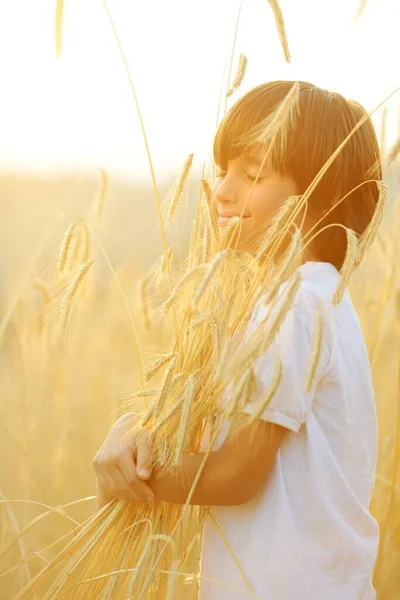 Bambino felice al campo di raccolta — Foto Stock