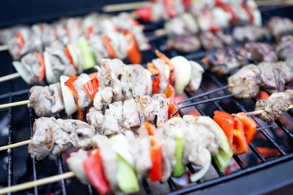 Préparation de délicieux barbecue avec différentes viandes et légumes — Photo