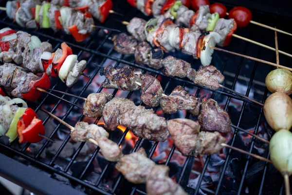 Preparando delicioso churrasco com carne e legumes diferentes — Fotografia de Stock