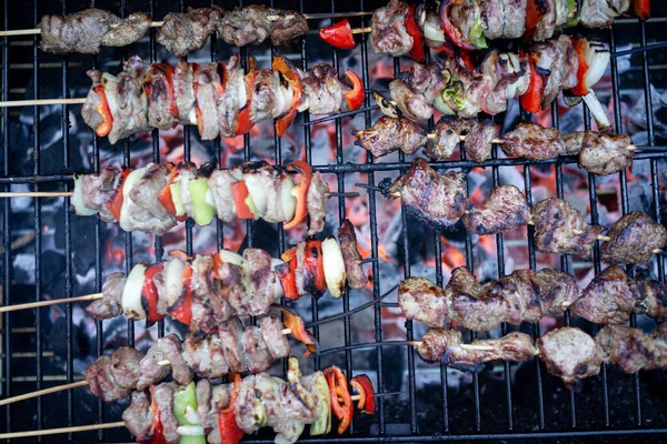 Farklı et ve sebzelerle lezzetli bir barbekü hazırlıyorum. — Stok fotoğraf