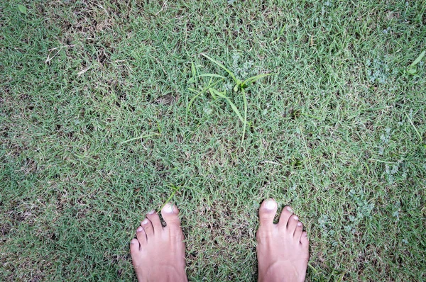 Zelfbeeld van voeten op groen gras — Stockfoto