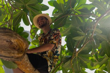 Ağaçta yatan adam, nusa penida, bali. Yüksek kalite fotoğraf