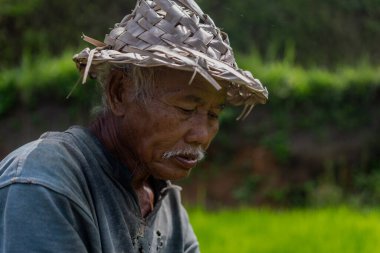 Bir adam çim tarlasında bir kütüğün üzerinde oturuyor. Çimlerle ilgileniyor ve işine odaklanmış durumda. Sakinlik ve huzur kavramı, insanın doğayla iç içe olması gibi.