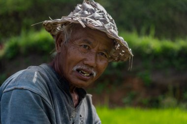 Bir adam çim tarlasında bir kütüğün üzerinde oturuyor. Çimlerle ilgileniyor ve işine odaklanmış durumda. Sakinlik ve huzur kavramı, insanın doğayla iç içe olması gibi.