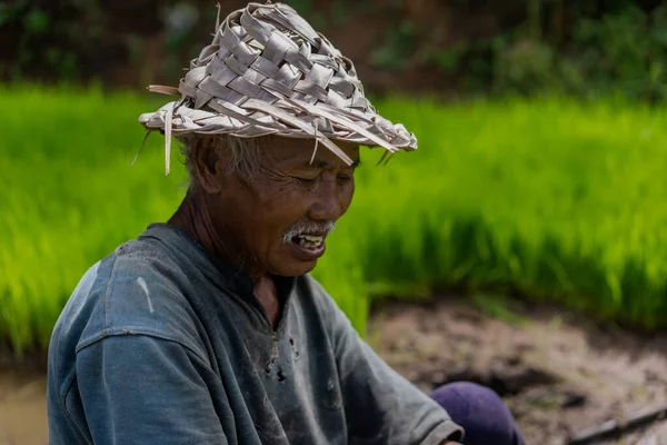 Bir adam çim tarlasında bir kütüğün üzerinde oturuyor. Çimlerle ilgileniyor ve işine odaklanmış durumda. Sakinlik ve huzur kavramı, insanın doğayla iç içe olması gibi.