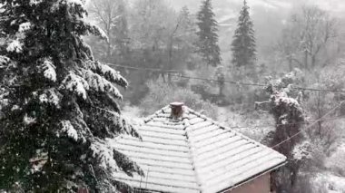 Kar tanelerinin yağışının ve ormandaki ağaçların kaplanışının yakın çekim görüntüleri. Yüksek kalite 4k görüntü