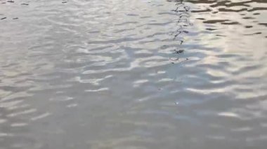 Su üzerinde Gökyüzü Yansıması Olan Su Yüzeyi. Sakin bir manzarada nehir doğası. Kapatın. Yüksek kalite 4k görüntü