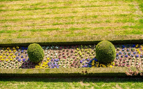 Jardín aseado con arbustos y flores —  Fotos de Stock