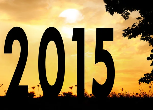 Silhouette of 2015 on meadow — Stock Photo, Image