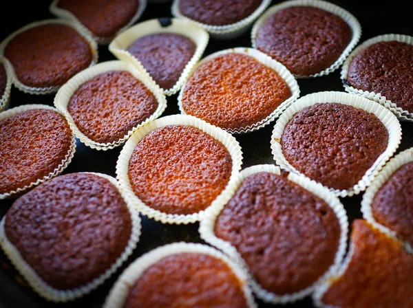 Zubereitung hausgemachter Kuchen — Stockfoto