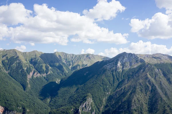 Collines cvered avec des arbres — Photo