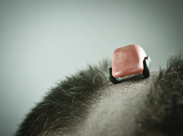 Conceptual image of alternative road for cars on man's head — Stock Photo, Image