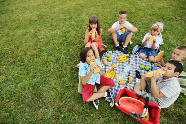 Děti mají piknik na louce — Stock fotografie