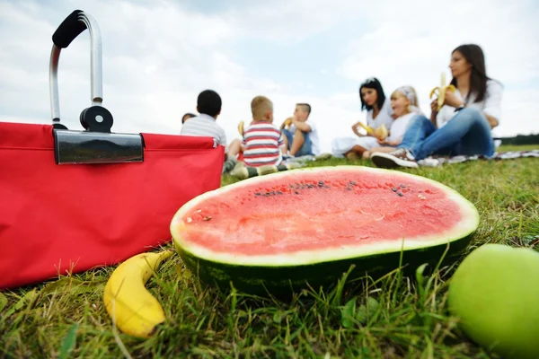 Gezin met kinderen hebben picnic tijd — Stockfoto