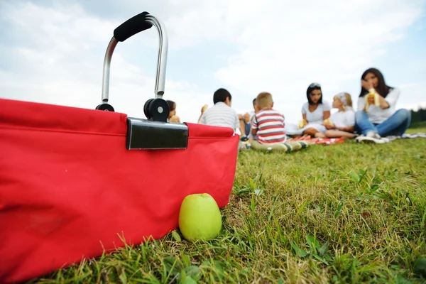 Famiglia con bambini che fanno pic-nic — Foto Stock