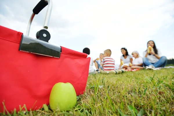 Piknik vakit geçiriyor çocuklu aile — Stok fotoğraf