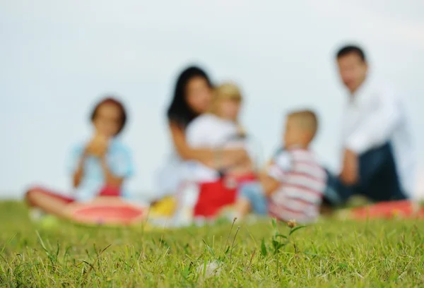 Rodina s dětmi bavíte piknik — Stock fotografie