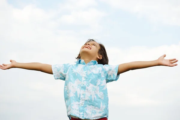 Niño feliz en el prado de verano Fotos De Stock Sin Royalties Gratis