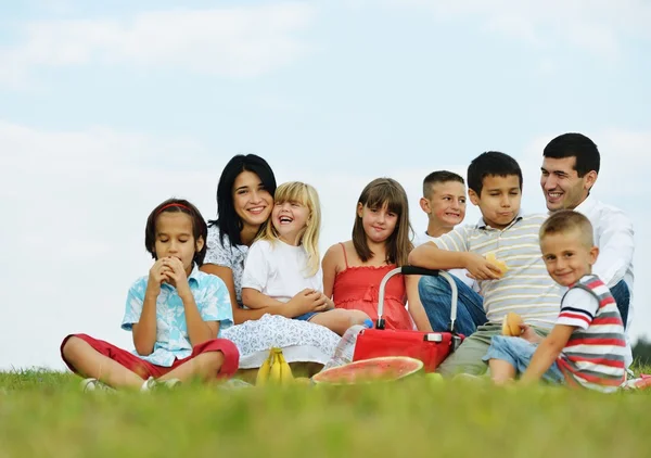 Gezin met kinderen hebben picnic tijd op groene weide Stockfoto