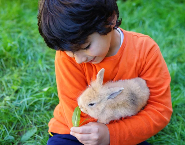 Petit garçon avec lapin — Photo