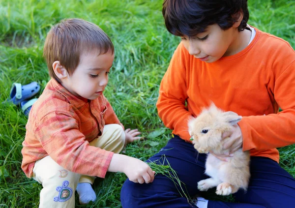 Tavşan ile küçük çocuklar — Stok fotoğraf