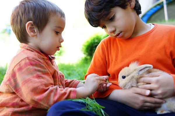 Niños pequeños con conejo —  Fotos de Stock