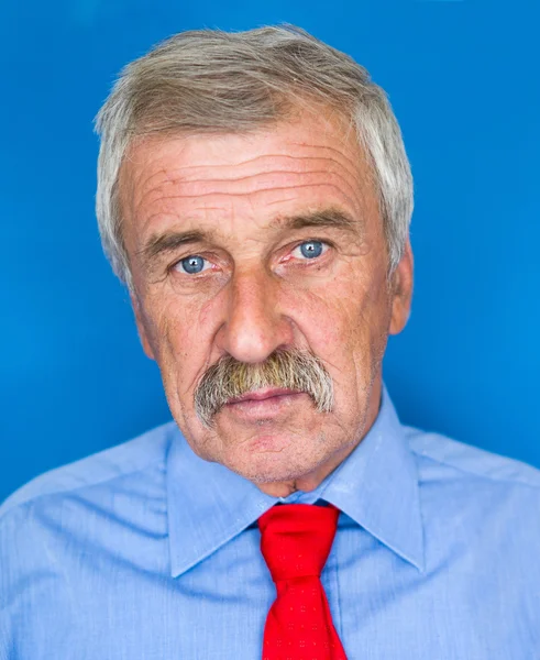 Senior businessman portrait — Stock Photo, Image