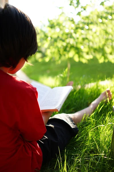 Criança lendo um livro sobre o prado — Fotografia de Stock