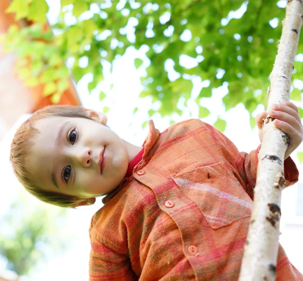 Ragazzo con un albero in giardino — Foto Stock