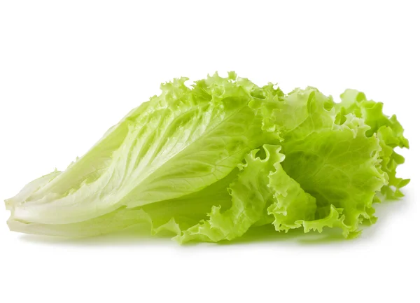 Wet lettuce on  white — Stock Photo, Image