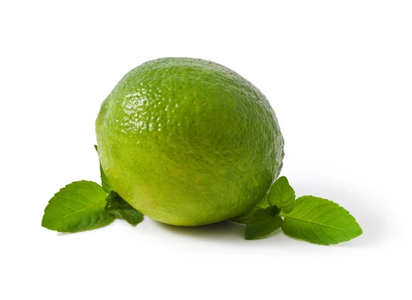 Lime — Stock Photo, Image