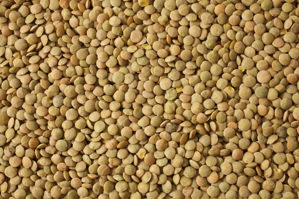 Lentils — Stock fotografie