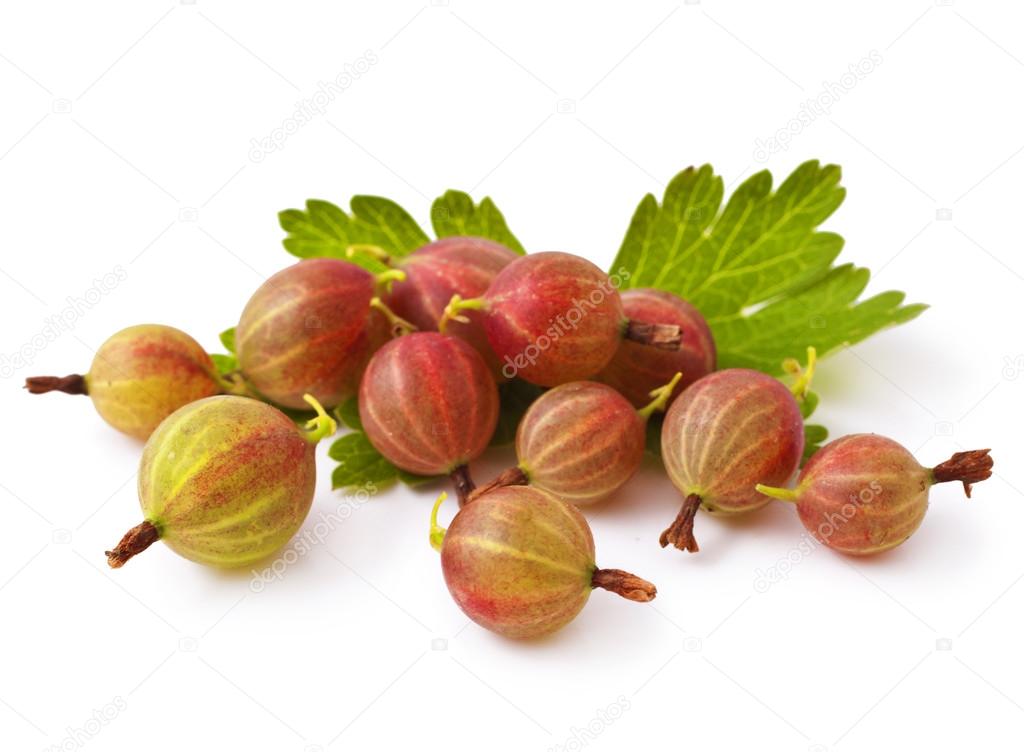 Gooseberries