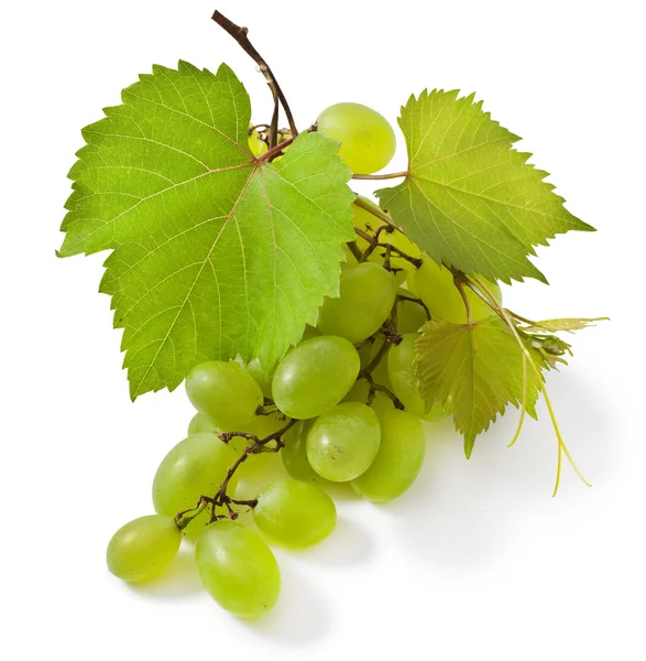 Groene druif — Stockfoto