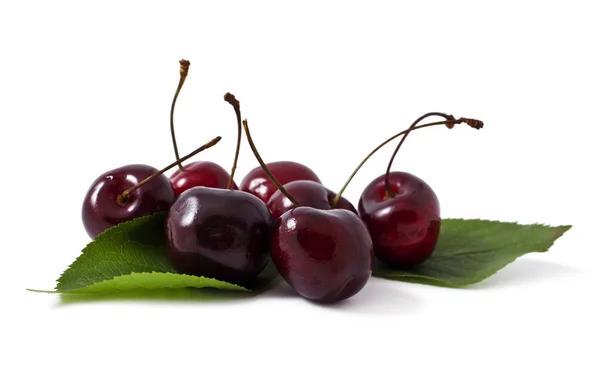 Cherry — Stock Photo, Image