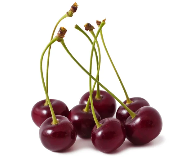 Cherry — Stock Photo, Image