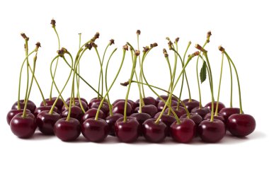 Kırmızı Kiraz avuç