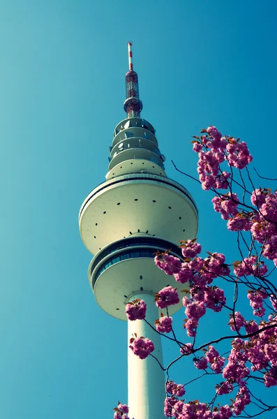 Hamburgo torre de televisão — Fotografia de Stock