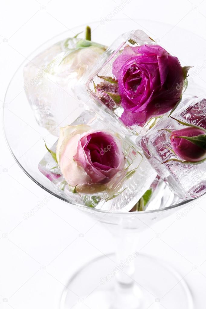 roses in ice cubes — Stock Photo © yekophotostudio 76912581