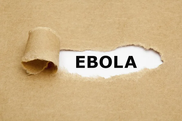 Ebola papel rasgado — Fotografia de Stock