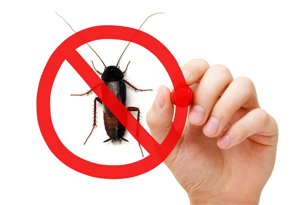 Prohibition Sign Cockroach — Stock Photo, Image