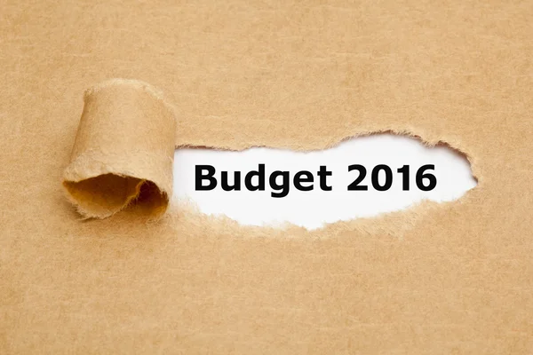 Budget 2016 sönderrivet papper koncept — Stockfoto