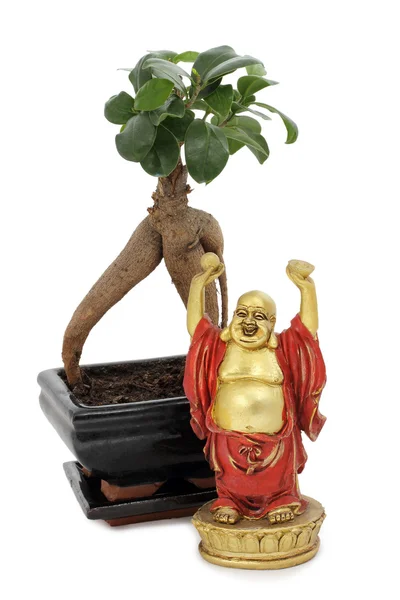 Buddha och bonsai — Stockfoto