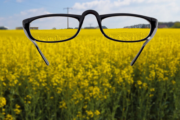 Просматривая
