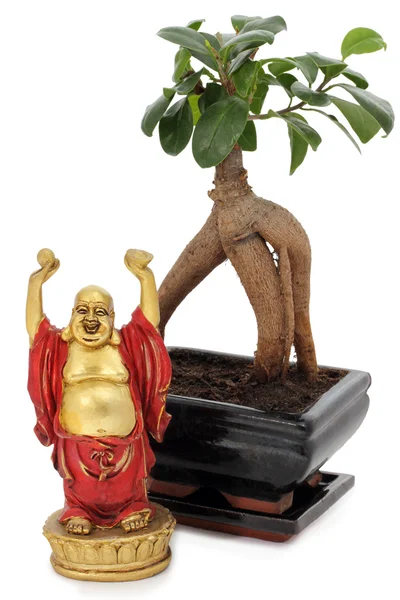 Bonsai and buddha — Stock Photo, Image