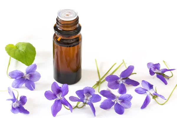 Bach flower remedies of violets on white background — Stock Photo, Image