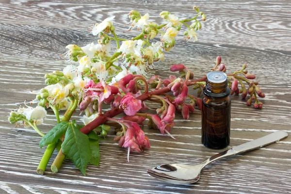 Remédios de flor de Bach de castanha vermelha e branca Imagem De Stock