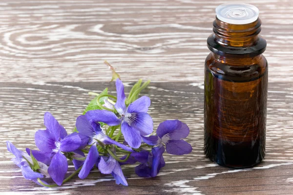 Remédios de flor de Bach de violetas Fotografia De Stock