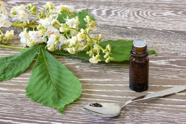 Bach flower remedies of white chestnut — Stock Photo, Image