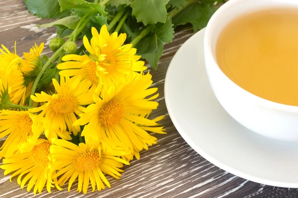 Cough tea with coltsfoot — Stock Photo, Image